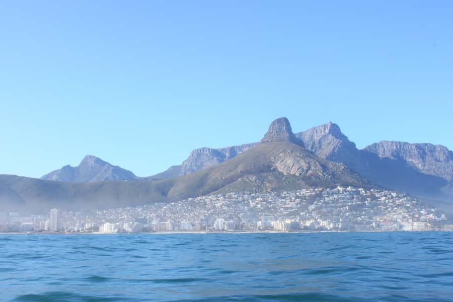 Cape Town: Marine Big 5 Ocean Safari from V&A Waterfront - Day-of conditions: weather changes can affect what you see