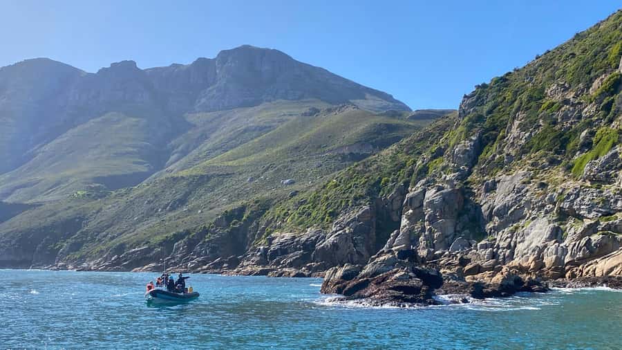 Cape Town: Ocean Safari in Hout Bay - Snorkel time without stress: equipment, fit, and realistic expectations