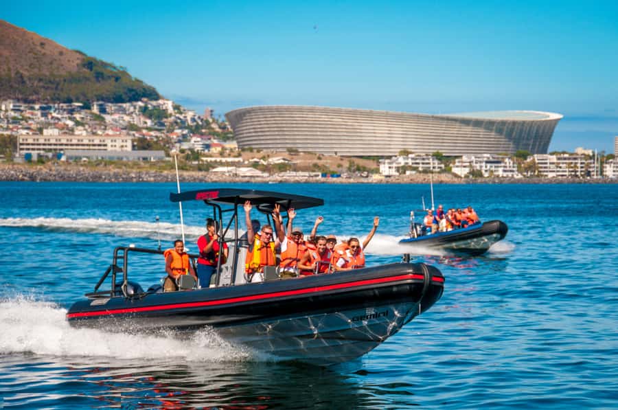 Cape Town Ocean Safari: Speed Boat Adventure in Table Bay - Key things I’d highlight before you go