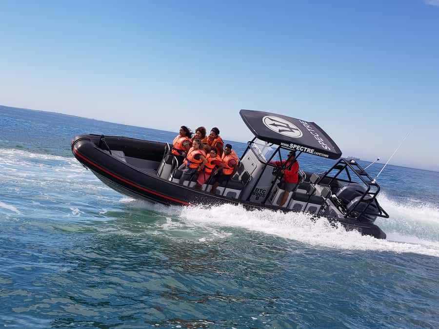 Cape Town Ocean Safari: Speed Boat Adventure in Table Bay - From Quay 5 to Table Bay: how the hour is paced