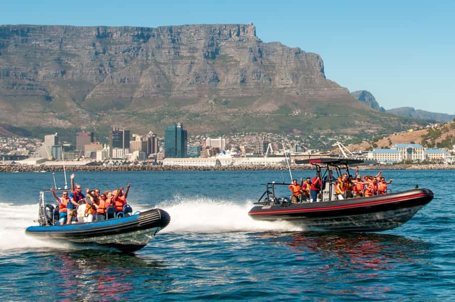 Cape Town Ocean Safari: Speed Boat Adventure in Table Bay - The speedboat experience: thrills, spray, and safety focus