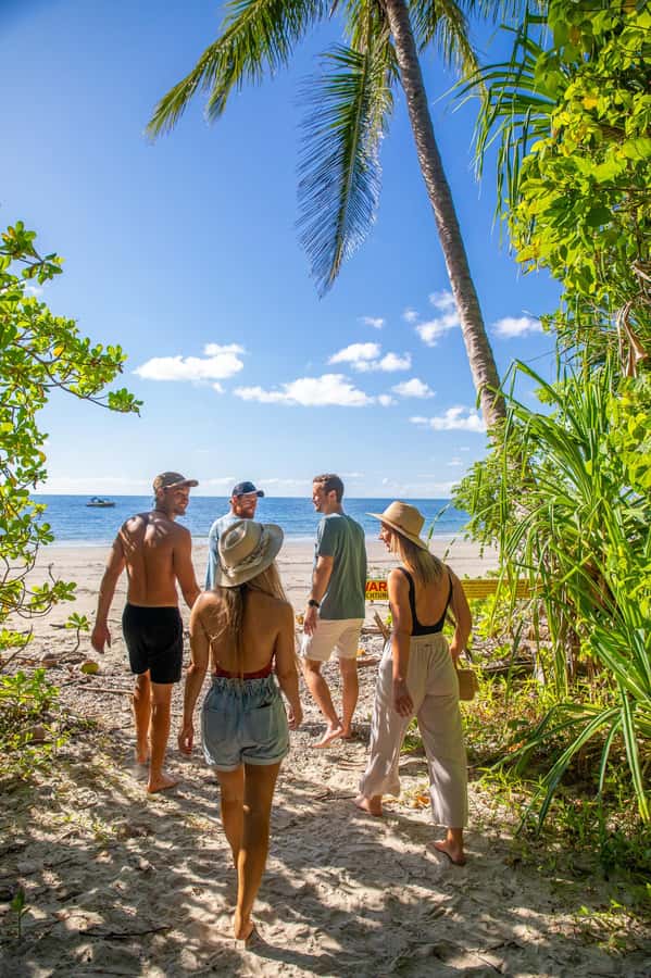 Cape Tribulation Ocean Safari - Great Barrier Reef Adventure - Key points before you go