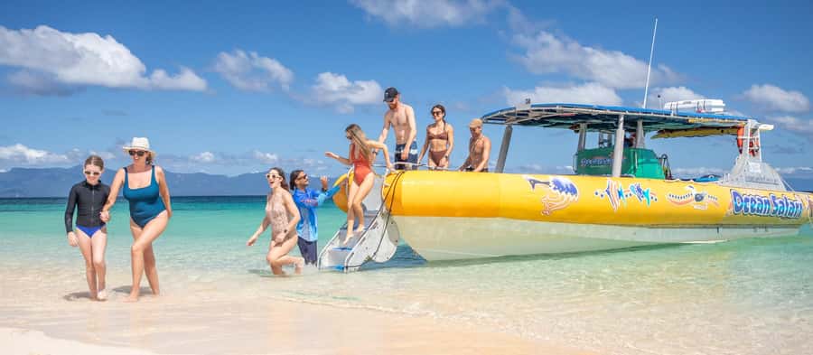 Cape Tribulation Ocean Safari - Great Barrier Reef Adventure - Your half-day schedule: two reef runs and one big in-water block