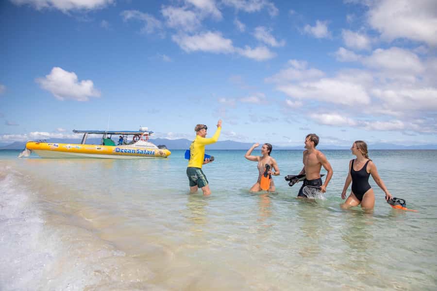 Cape Tribulation Ocean Safari - Great Barrier Reef Adventure - Inclusions and costs: how the $146 price makes sense
