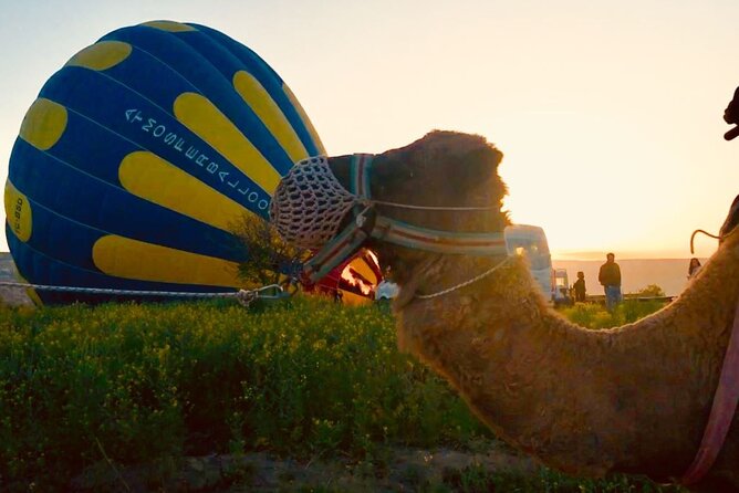 Cappadocia Sunrise Camel Safari - Why a 4:30 AM Cappadocia Sunrise Camel Safari Works