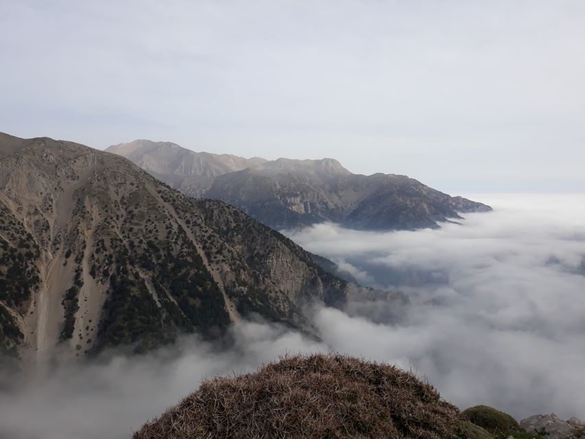 Chania: White Mountains Safari Tour with Lunch and Tastings - Key highlights (what you’ll actually remember)