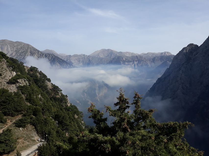 Chania: White Mountains Safari Tour with Lunch and Tastings - Ano Vouves: the ancient olive tree and why it sets the tone