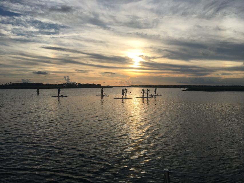 Charleston: Folly Beach Stand Up Paddleboard Dolphin Safari - Price and value: $60 for two hours that includes coaching and gear
