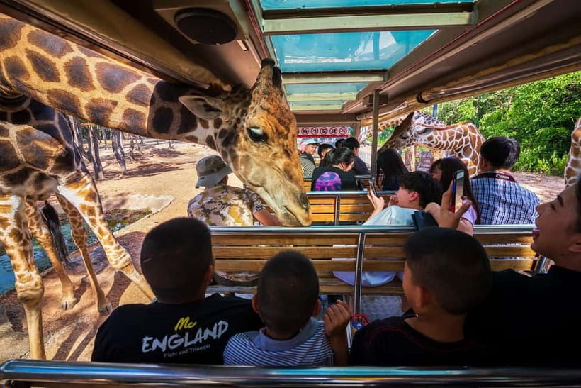 Chiang Mai Night Safari Ticket & Tram Rides Optional Pickup - Pickup options around Chiang Mai: easier start, or meet and go