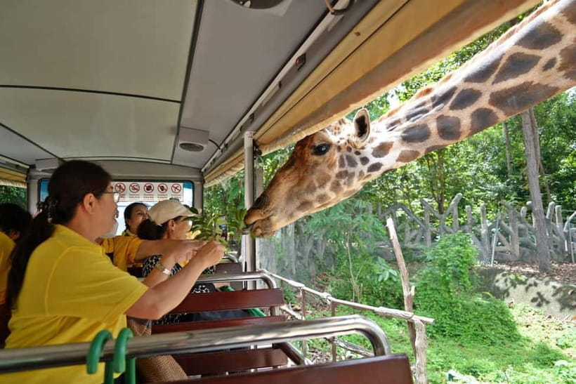 Chiang Mai Night Safari Ticket & Tram Rides Optional Pickup - Walking trails after the tram: self-paced exploring that works