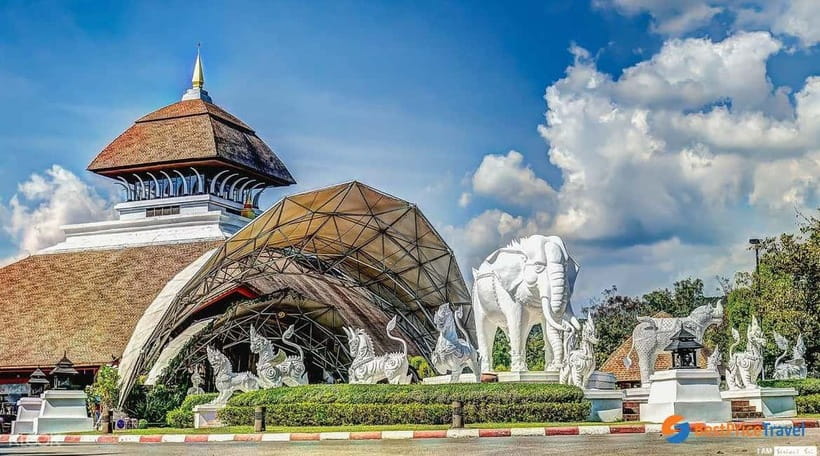 Chiang Mai Night Safari Ticket & Tram Rides Optional Pickup - Who should book this Chiang Mai Night Safari ticket (and who might skip)