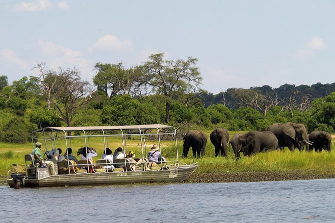 Chobe Full Day Safari Trip - Buffer Lunch at a River-View Setting: Refuel Without Losing the Day