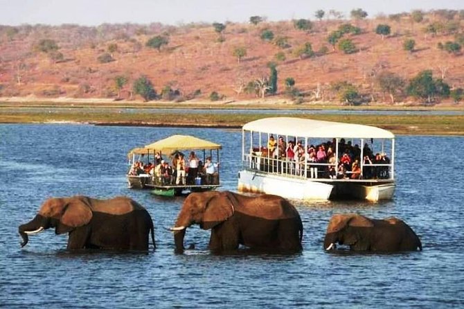 Chobe Safari Day Trip From Livingstone - Key Points That Matter Before You Go