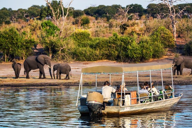 Chobe Safari Day Trip From Livingstone - Chobe Game Drive: Where Big Animals Do Big Work