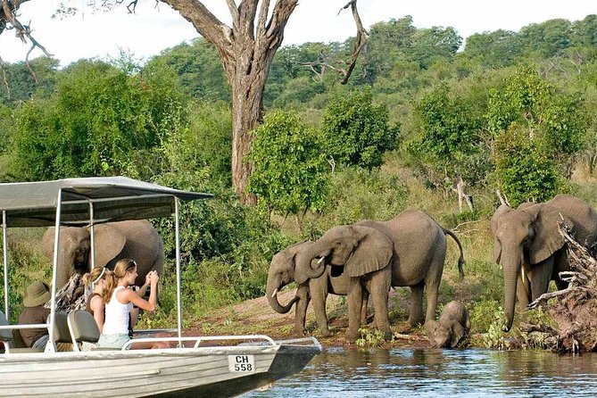 Chobe Safari Day Trip From Livingstone - Lunch in the Middle: Why It’s Included for a Reason