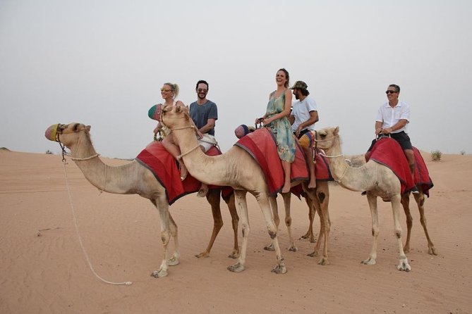 Classic Dubai Desert Safari with BBQ Dinner and Camp activities - Value for $41: Why This Price Works (and When It Might Not)