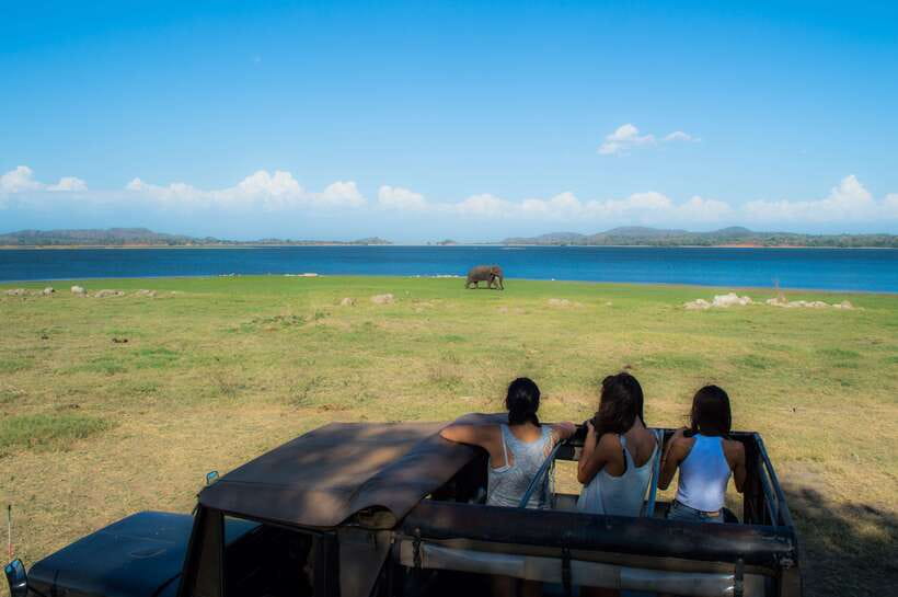 Colombo/Negombo: Sigiriya, Dambulla, and Minneriya Safari - Budgeting for Entrance Fees and the Real Tour Total