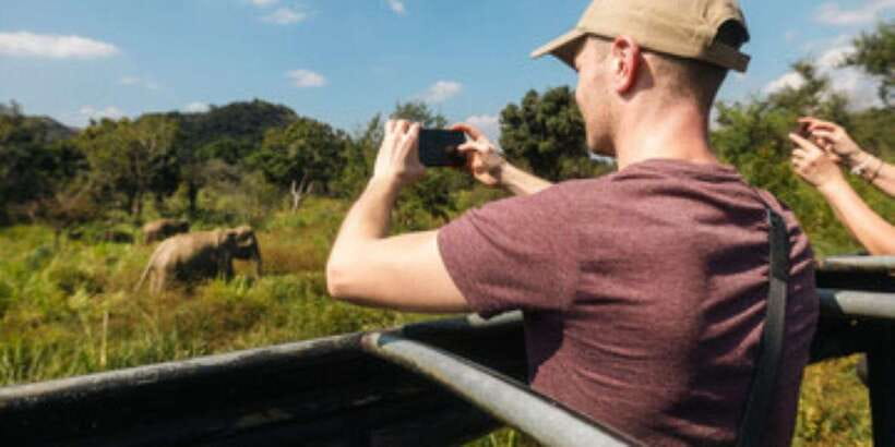 Colombo/Negombo to Sigiriya, Dambulla & Jeep Safari Day Tour - Spice & Herbal Garden: Cinnamon, Pepper, and Ayurvedic Uses