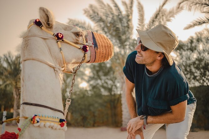 Combo:Deluxe Desert Safari with dinner + ATV self-drive/Quad Bike - Sandboarding and the golden hour photo moment