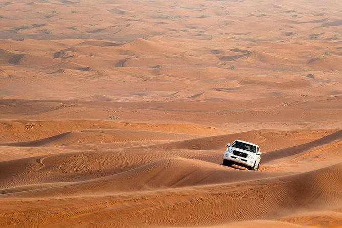 Combo: Morning Dubai City Tour And Evening Premium Desert Safari with Dinner - A One-Day Dubai Plan: City Sights by Morning, Desert Dinner by Night