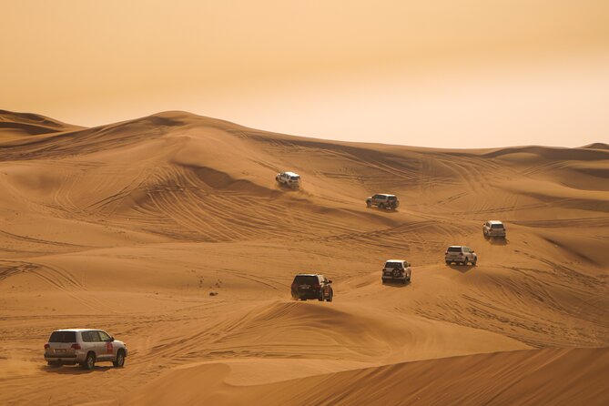 Combo tour- Dubai city tour & Evening Desert safari - Key highlights at a glance