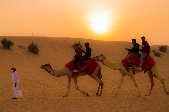 Combo tour- Dubai city tour & Evening Desert safari - Morning Dubai route: Zabeel Palace to Burj Khalifa area