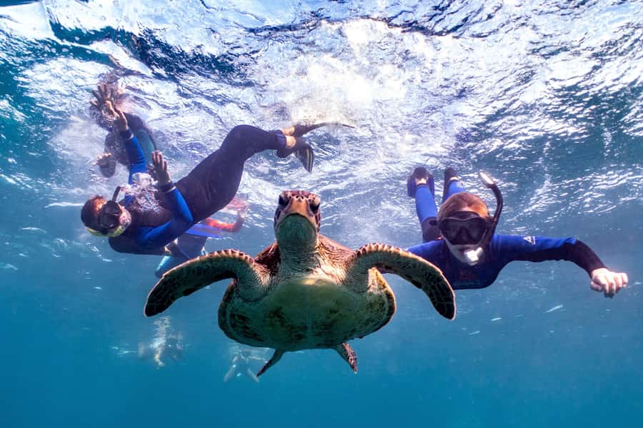 Coral Bay: Marine Eco Safari - Swim With Manta Rays - Coral Bay’s reef mission: what this tour is really for