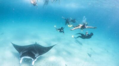 Coral Bay: Marine Eco Safari - Swim With Manta Rays - The Kurni-Ku setup and why it matters for your comfort