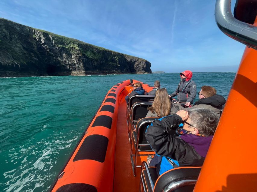 Cornwall: Guided Seal Safari by Boat - The 1-hour plan: Padstow photo stop, then coastline at speed