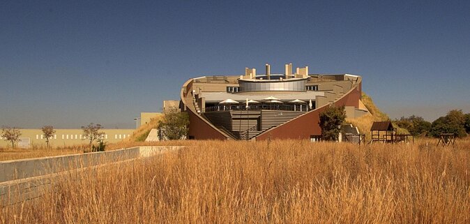 Cradle of Humankind Tour with Lion Safari from Johannesburg - Key highlights you’ll care about
