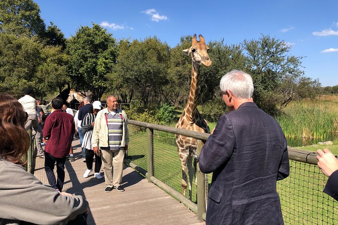 Cradle of Humankind Tour with Lion Safari from Johannesburg - Lions and fossils in one day: how the route feels