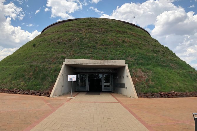 Cradle of Humankind Tour with Lion Safari from Johannesburg - Lion and Safari Park: what an open-vehicle lion drive is like