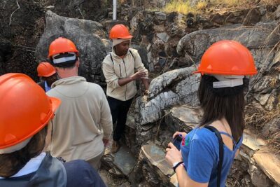 Cradle of Humankind Tour with Lion Safari from Johannesburg - Price and what you really get for $207.05