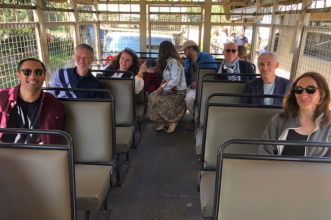 Cradle of Humankind Tour with Lion Safari from Johannesburg - What to bring and how to handle the day comfortably