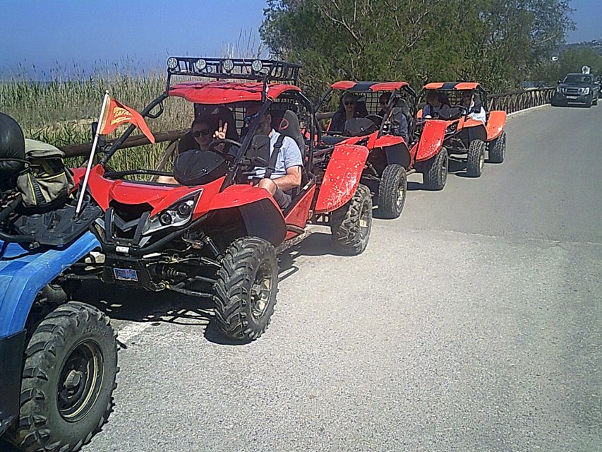 Crete buggy safari - Vasilakis Olive Estate: the press tour that makes the bottle make sense
