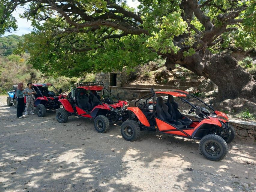 Crete buggy safari - Final beach swim near Malia: Potamos-style cool down
