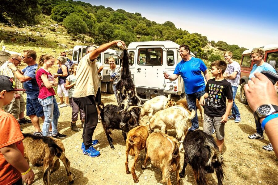 Crete: Land Rover Safari on Minoan Route - Quick Hits Before You Go