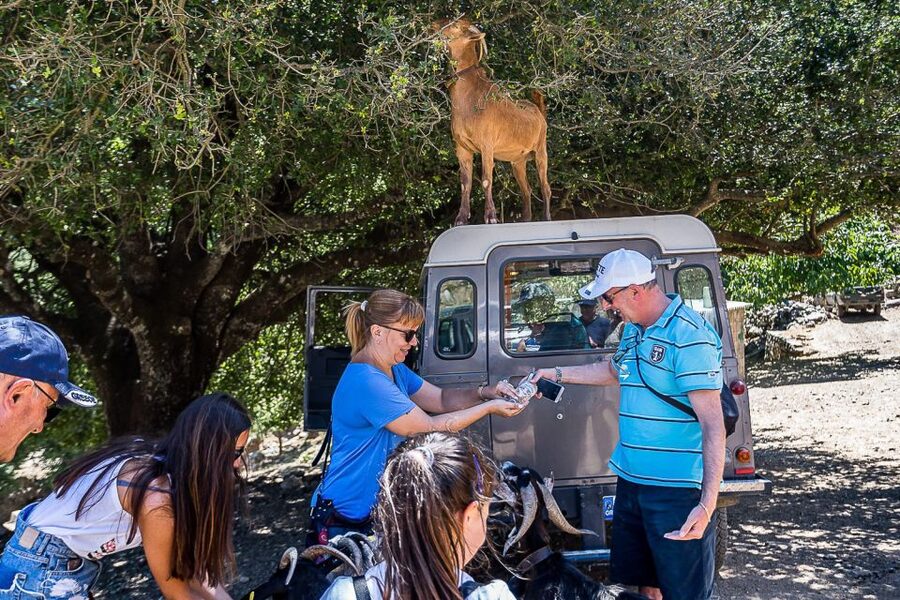 Crete: Land Rover Safari on Minoan Route - Price and Value at $110 per Person