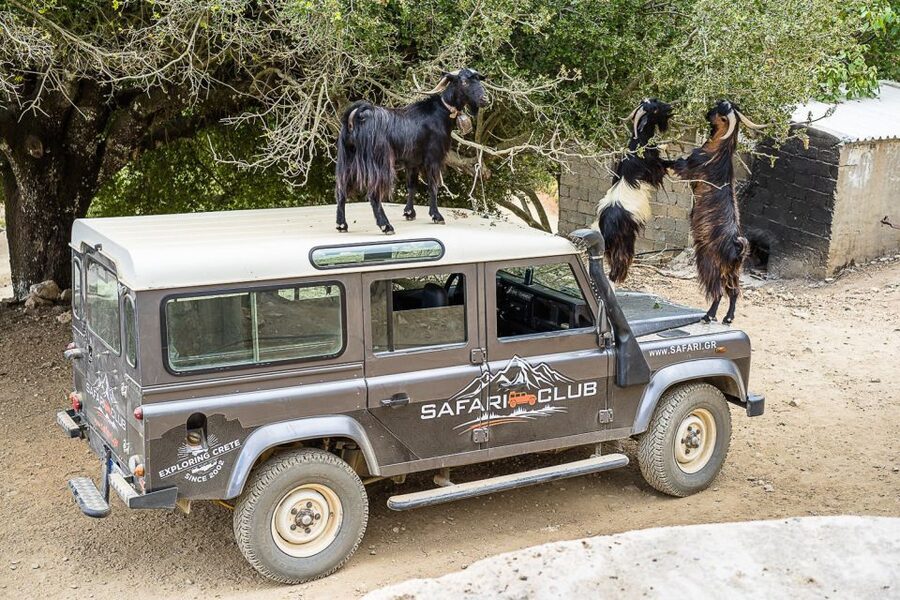 Crete: Land Rover Safari on Minoan Route - Why the Old Minoan Route Feels Like a Different Crete