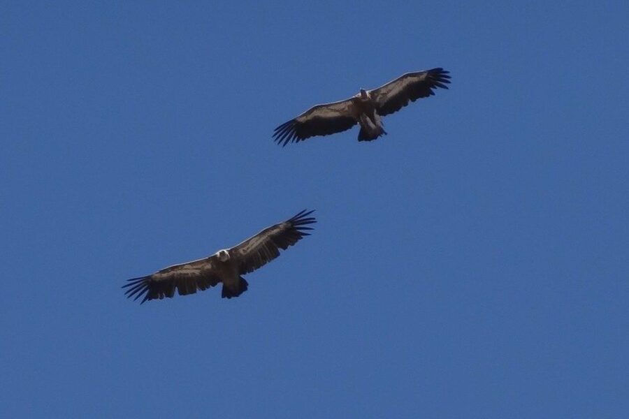 Crete: Land Rover Safari on Minoan Route - Greek Mythology Park and the Zeus’s Cave Fee You Should Plan For
