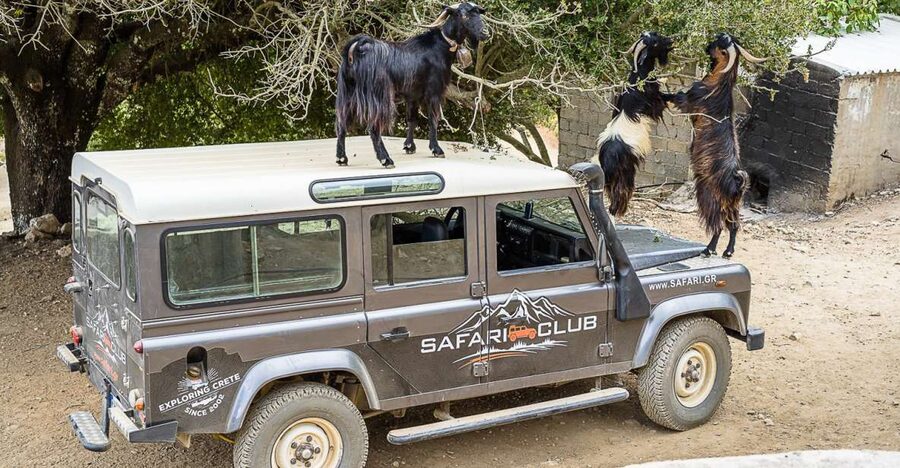 Crete: Land Rover Safari on Minoan Route - Pickup in Piskopiano and What to Expect from the 8-Hour Flow