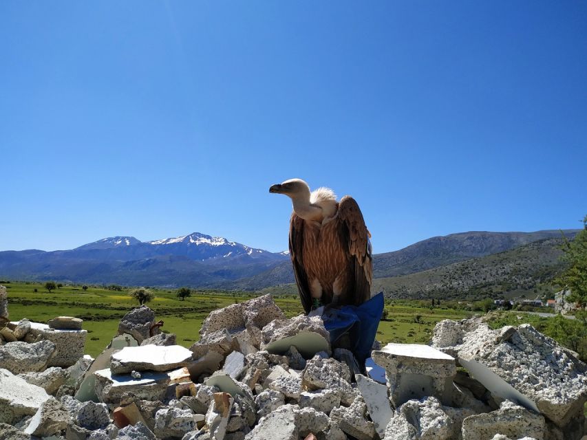 Crete: Lasithi Plateau and Cave of Zeus Off-Road Safari Tour - Lasithi Plateau: altitude, myths, and local life on the move