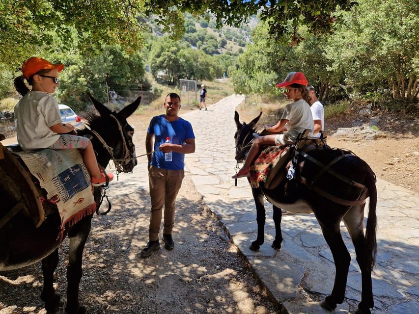 Crete: Lasithi Plateau Zeus Cave Guided Jeep Safari Tour - Lasithi Plateau at 1,150 Meters: Trails, Wildlife, and Cheese Tastings
