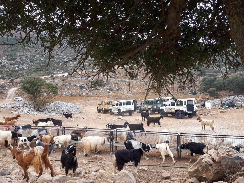 Crete: Lasithi Plateau Zeus Cave Guided Jeep Safari Tour - Diktaion Andron: Wine, Brunch, and a Real Hike to the Cave Area