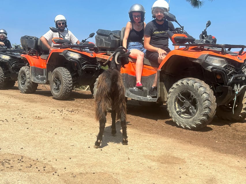 Crete: Quad Safari, Olive Mill with Tasting & Ghost Village - Why this half-day quad safari makes sense in Crete