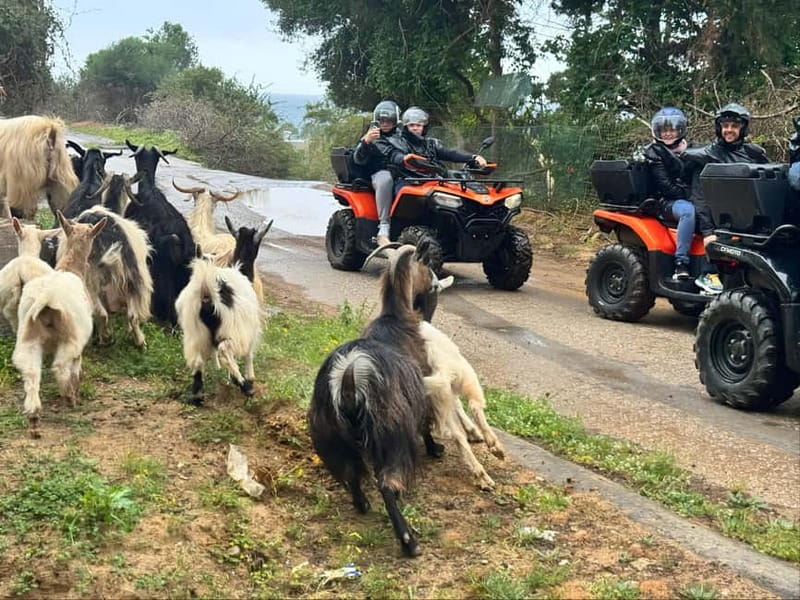 Crete: Quad Safari with Ghost Town Exploration - Safety Briefing and the 4-Acre Quad Training That Builds Confidence