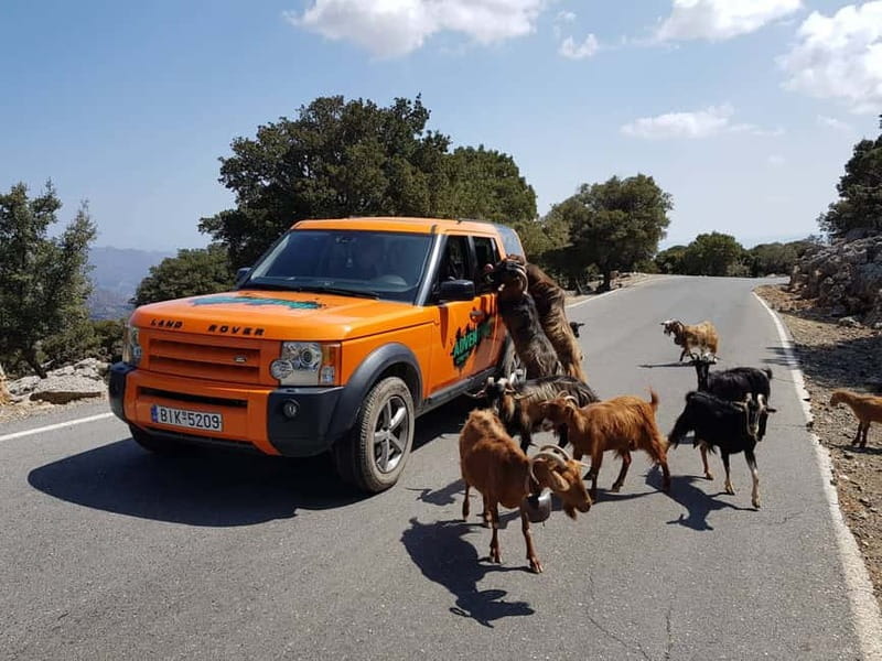 Crete: Sarakina Gorge, Forests, and South Coast Safari - Key highlights worth planning around