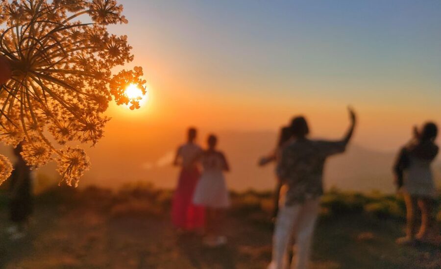 Crete: Sunset Safari - Dinner in Malia: local delicacies with wine and water