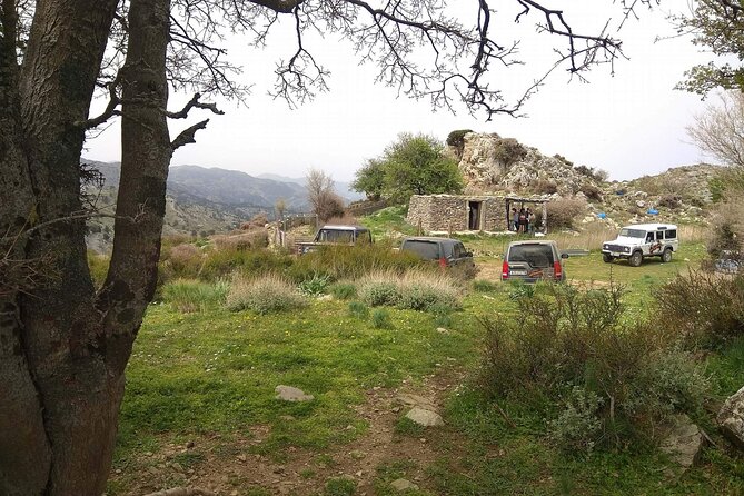 Crete White Mountains Safari Including Lunch - Group size, seats, and the comfort math you should do first