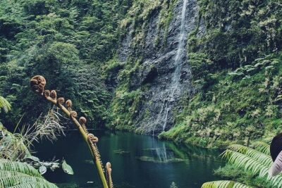 Crossing Over Tahiti Island Safari 4x4 - The 8:30am Start: What Your Day Feels Like Before You Even Leave